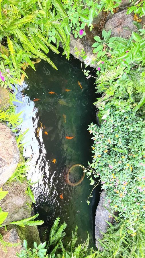 An Nhien Villa 保禄 外观 照片